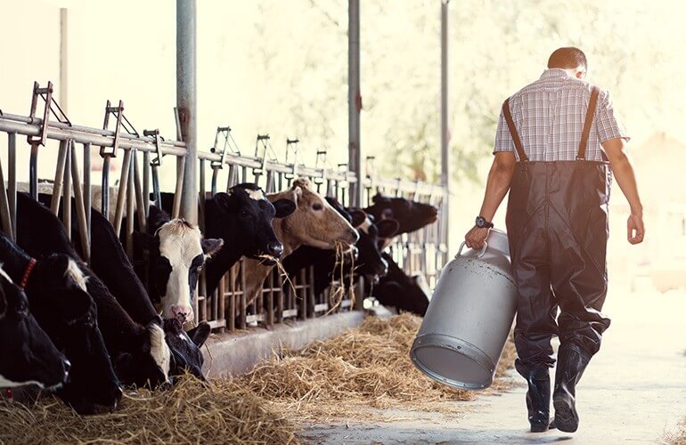 Yoplait Wellness Milk Comes From Local Farms